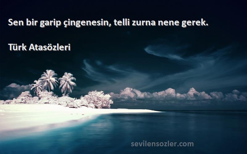 Türk Atasözleri Sözleri 
Sen bir garip çingenesin, telli zurna nene gerek.