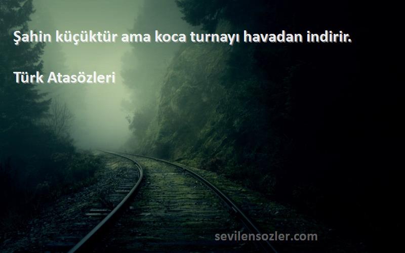 Türk Atasözleri Sözleri 
Şahin küçüktür ama koca turnayı havadan indirir.