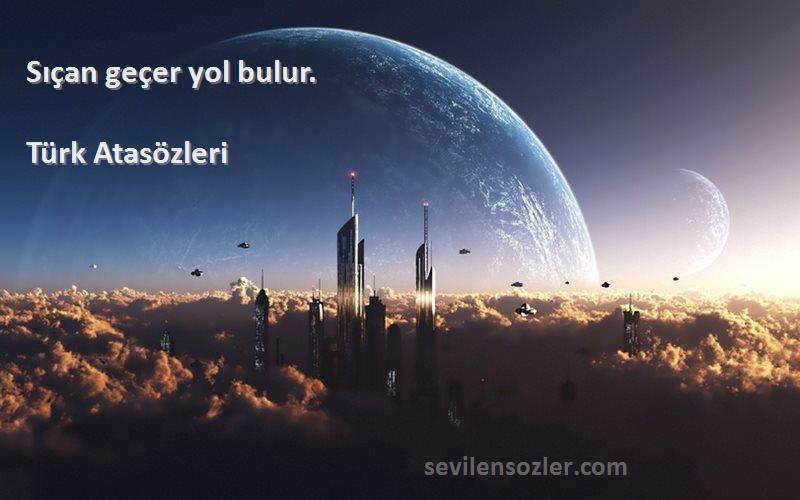 Türk Atasözleri Sözleri 
Sıçan geçer yol bulur.