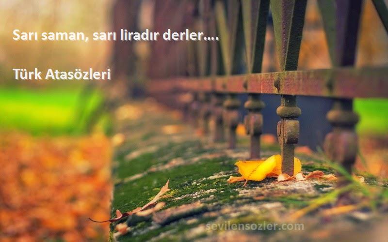 Türk Atasözleri Sözleri 
Sarı saman, sarı liradır derler….