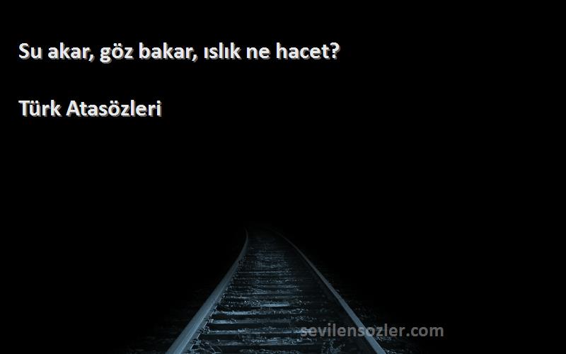 Türk Atasözleri Sözleri 
Su akar, göz bakar, ıslık ne hacet?