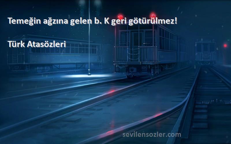 Türk Atasözleri Sözleri 
Temeğin ağzına gelen b. K geri götürülmez!