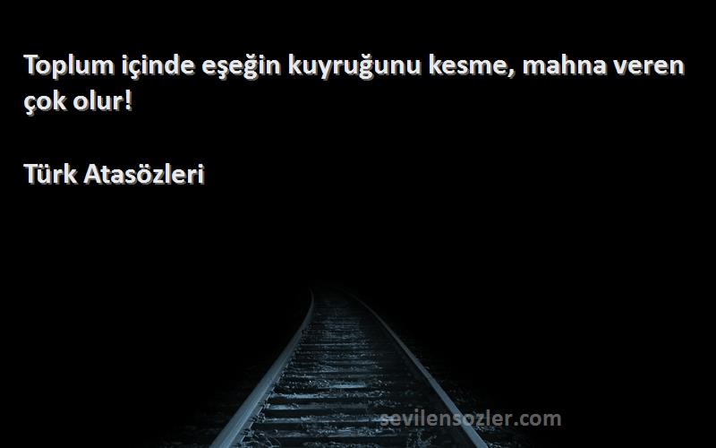 Türk Atasözleri Sözleri 
Toplum içinde eşeğin kuyruğunu kesme, mahna veren çok olur!