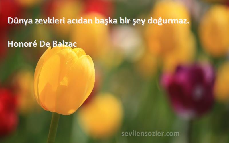 Honoré De Balzac Sözleri 
Dünya zevkleri acıdan başka bir şey doğurmaz.