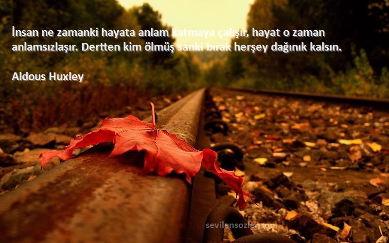 Aldous Huxley Sözleri 
İnsan ne zamanki hayata anlam katmaya çalışır, hayat o zaman anlamsızlaşır. Dertten kim ölmüş sanki bırak herşey dağınık kalsın.