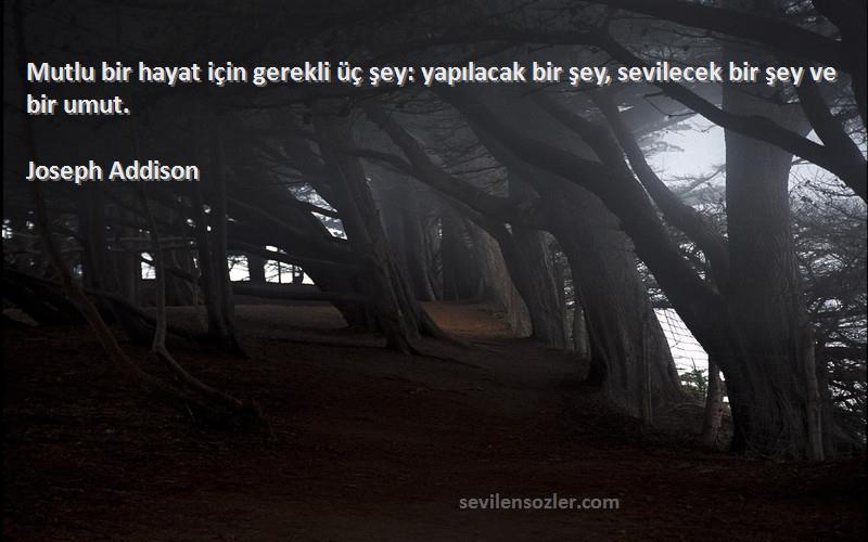 Joseph Addison Sözleri 
Mutlu bir hayat için gerekli üç şey: yapılacak bir şey, sevilecek bir şey ve bir umut.