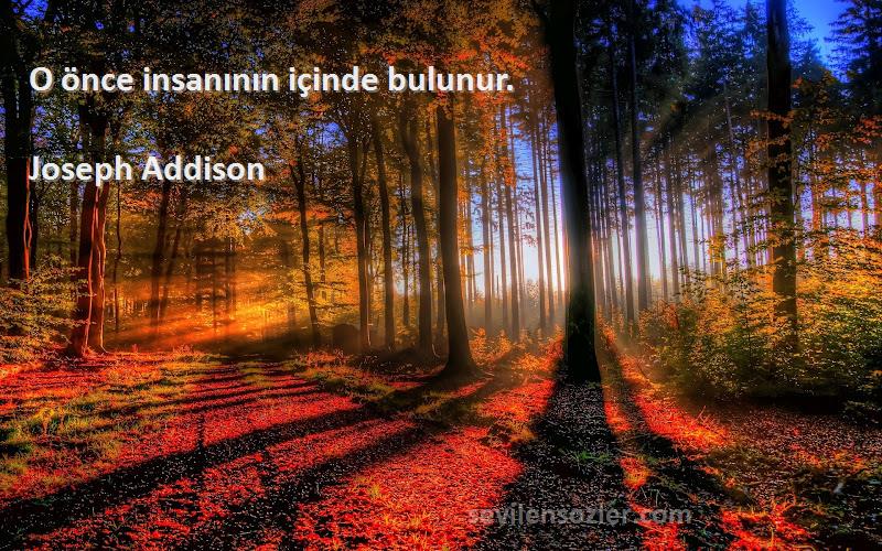 Joseph Addison Sözleri 
O önce insanının içinde bulunur.