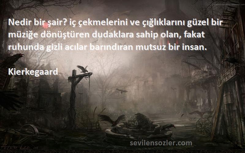 Kierkegaard Sözleri 
Nedir bir şair? iç çekmelerini ve çığlıklarını güzel bir müziğe dönüştüren dudaklara sahip olan, fakat ruhunda gizli acılar barındıran mutsuz bir insan.