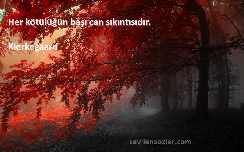 Kierkegaard Sözleri 
Her kötülüğün başı can sıkıntısıdır.