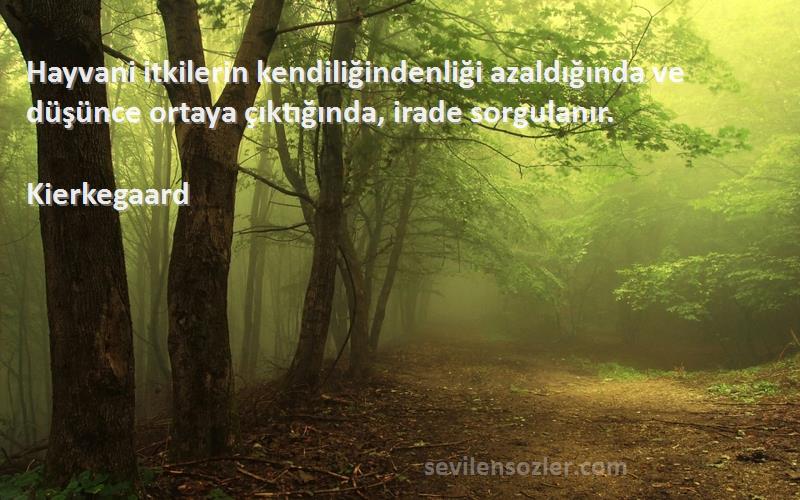 Kierkegaard Sözleri 
Hayvani itkilerin kendiliğindenliği azaldığında ve düşünce ortaya çıktığında, irade sorgulanır.