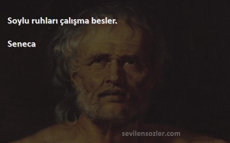 Seneca Sözleri 
Soylu ruhları çalışma besler.