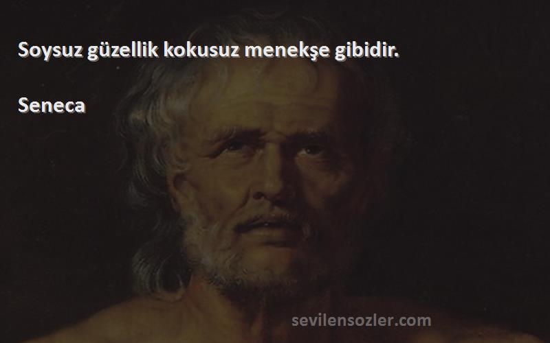 Seneca Sözleri 
Soysuz güzellik kokusuz menekşe gibidir.