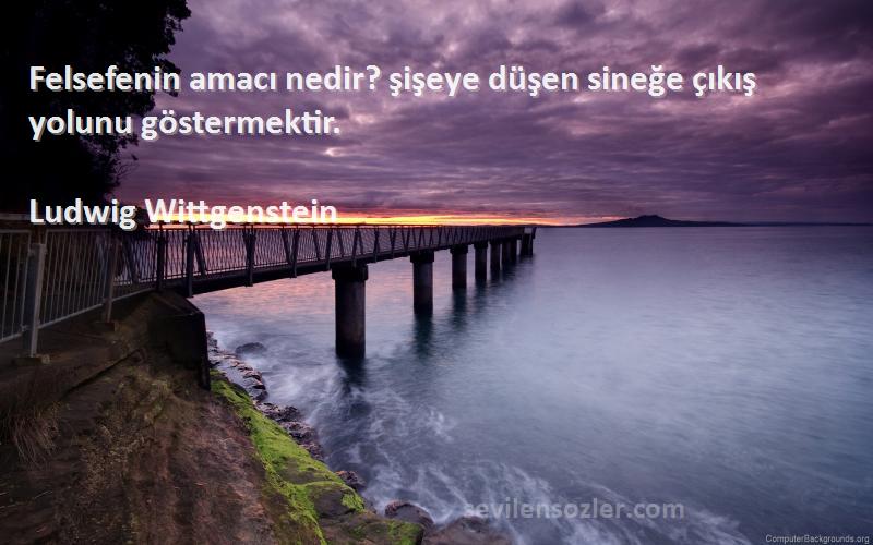 Ludwig Wittgenstein Sözleri 
Felsefenin amacı nedir? şişeye düşen sineğe çıkış yolunu göstermektir.