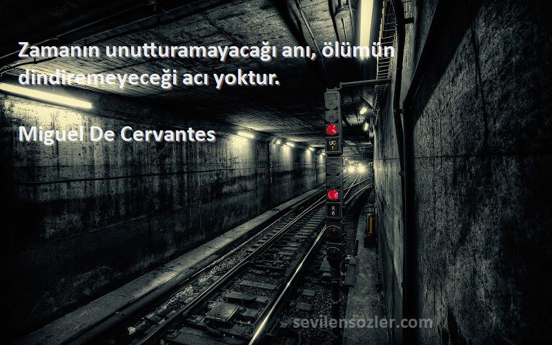 Miguel De Cervantes Sözleri 
Zamanın unutturamayacağı anı, ölümün dindiremeyeceği acı yoktur.