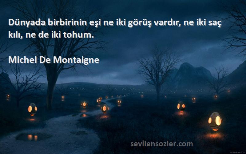 Michel De Montaigne Sözleri 
Dünyada birbirinin eşi ne iki görüş vardır, ne iki saç kılı, ne de iki tohum.