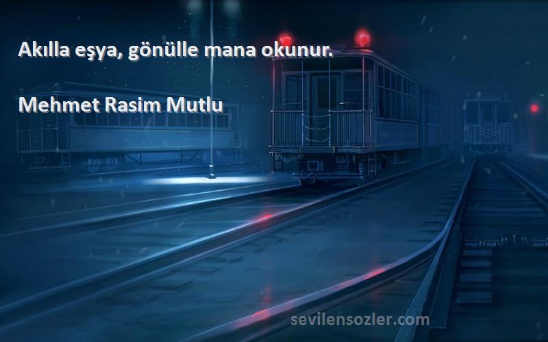 Mehmet Rasim Mutlu Sözleri 
Akılla eşya, gönülle mana okunur.