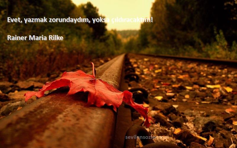 Rainer Maria Rilke Sözleri 
Evet, yazmak zorundaydım, yoksa çıldıracaktım!