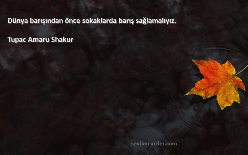 Tupac Amaru Shakur Sözleri 
Dünya barışından önce sokaklarda barış sağlamalıyız.