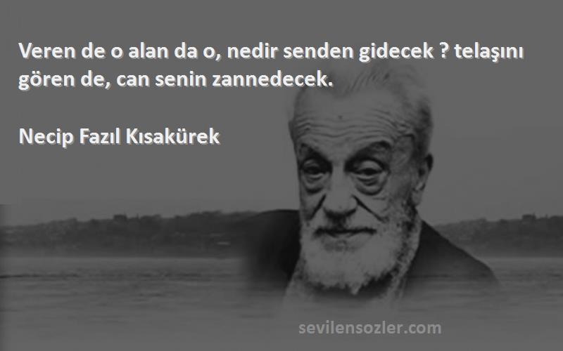 Necip Fazıl Kısakürek Sözleri 
Veren de o alan da o, nedir senden gidecek ? telaşını gören de, can senin zannedecek.