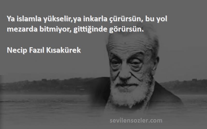 Necip Fazıl Kısakürek Sözleri 
Ya islamla yükselir,ya inkarla çürürsün, bu yol mezarda bitmiyor, gittiğinde görürsün.