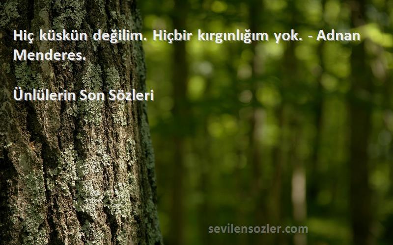 Ünlülerin Son  Sözleri 
Hiç küskün değilim. Hiçbir kırgınlığım yok. - Adnan Menderes.