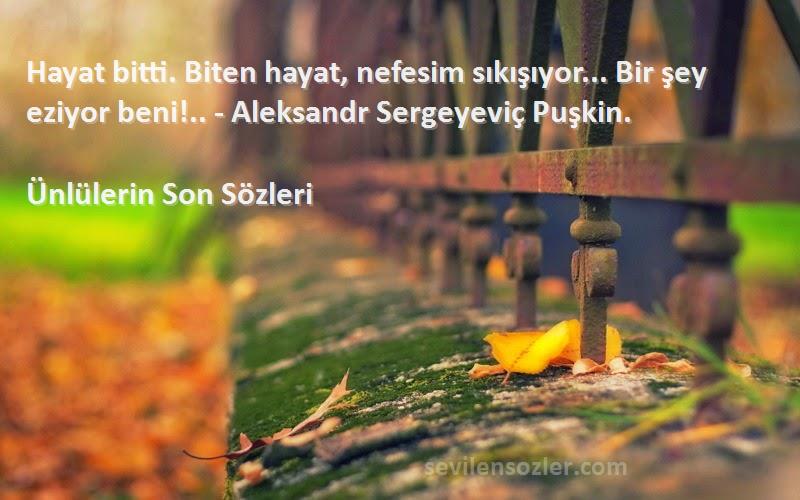 Ünlülerin Son  Sözleri 
Hayat bitti. Biten hayat, nefesim sıkışıyor... Bir şey eziyor beni!.. - Aleksandr Sergeyeviç Puşkin.