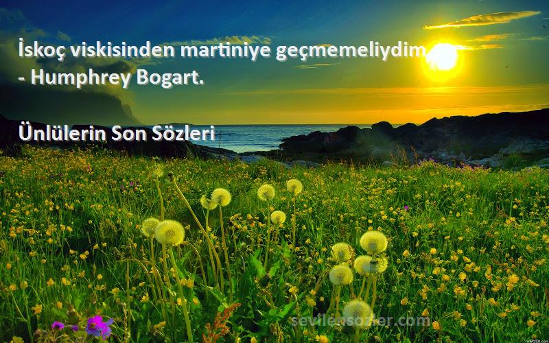 Ünlülerin Son  Sözleri 
İskoç viskisinden martiniye geçmemeliydim. - Humphrey Bogart.