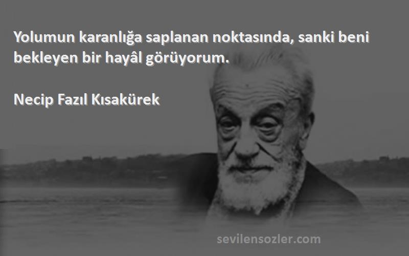 Necip Fazıl Kısakürek Sözleri 
Yolumun karanlığa saplanan noktasında, sanki beni bekleyen bir hayâl görüyorum.