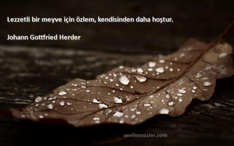 Johann Gottfried Herder Sözleri 
Lezzetli bir meyve için özlem, kendisinden daha hoştur.