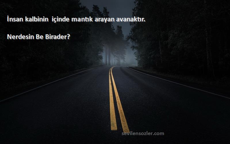 Nerdesin Be Birader? Sözleri 
İnsan kalbinin içinde mantık arayan avanaktır.