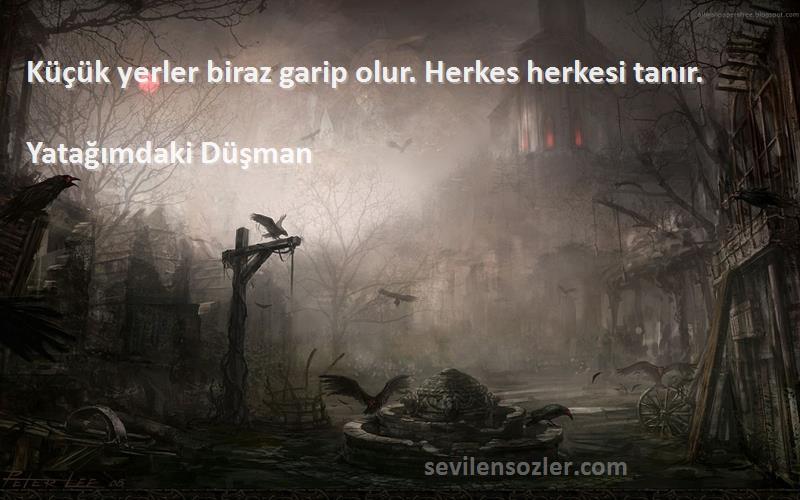 Yatağımdaki Düşman Sözleri 
Küçük yerler biraz garip olur. Herkes herkesi tanır.