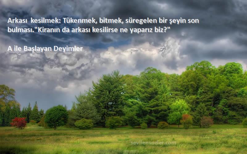 A ile Başlayan Deyimler Sözleri 
Arkası kesilmek: Tükenmek, bitmek, süregelen bir şeyin son bulması.Kiranın da arkası kesilirse ne yaparız biz?