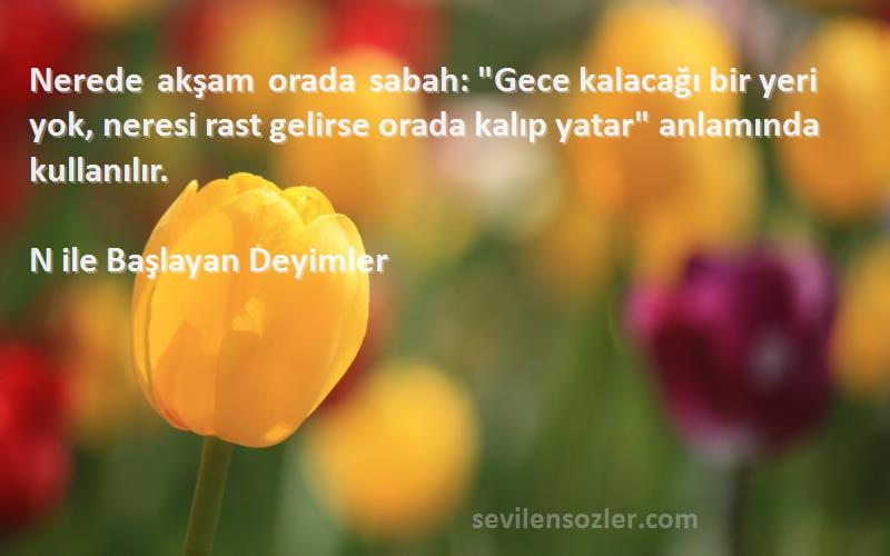 N ile Başlayan Deyimler Sözleri 
Nerede akşam orada sabah: Gece kalacağı bir yeri yok, neresi rast gelirse orada kalıp yatar anlamında kullanılır.