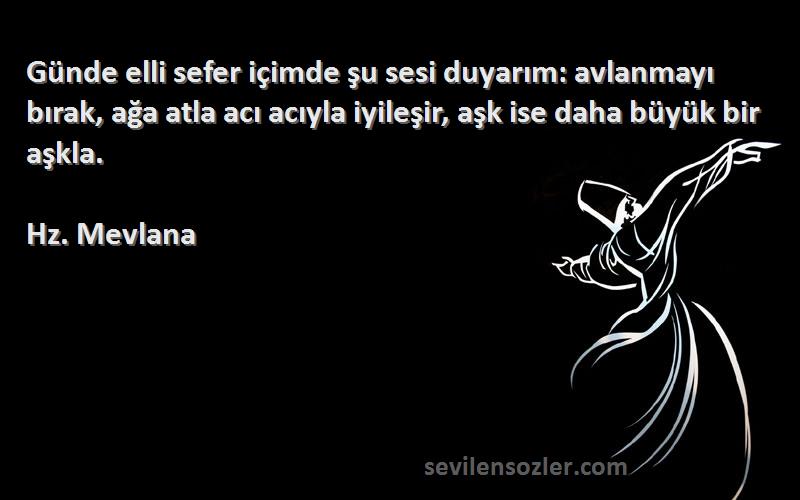 Hz. Mevlana Sözleri 
Günde elli sefer içimde şu sesi duyarım: avlanmayı bırak, ağa atla acı acıyla iyileşir, aşk ise daha büyük bir aşkla.