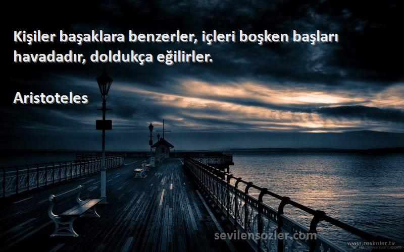 Aristoteles Sözleri 
Kişiler başaklara benzerler, içleri boşken başları havadadır, doldukça eğilirler.