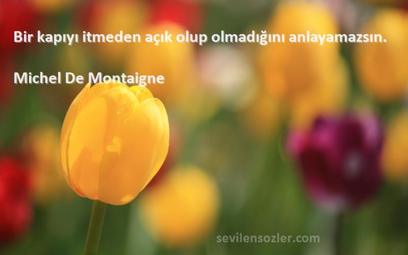 Michel De Montaigne Sözleri 
Bir kapıyı itmeden açık olup olmadığını anlayamazsın.