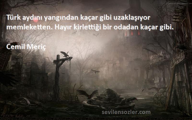 Cemil Meriç Sözleri 
Türk aydını yangından kaçar gibi uzaklaşıyor memleketten. Hayır kirlettiği bir odadan kaçar gibi.