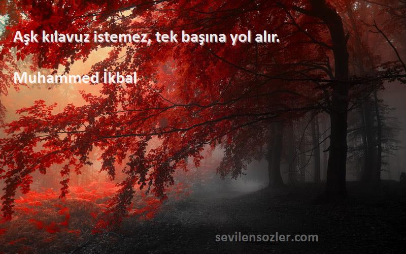 Muhammed İkbal Sözleri 
Aşk kılavuz istemez, tek başına yol alır.