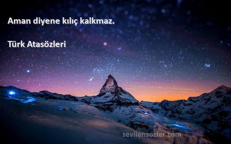 Türk Atasözleri Sözleri 
Aman diyene kılıç kalkmaz.