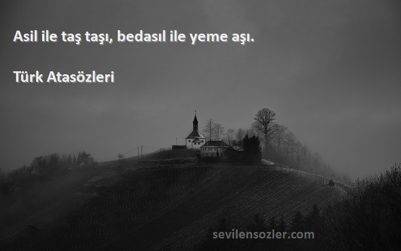 Türk Atasözleri Sözleri 
Asil ile taş taşı, bedasıl ile yeme aşı.