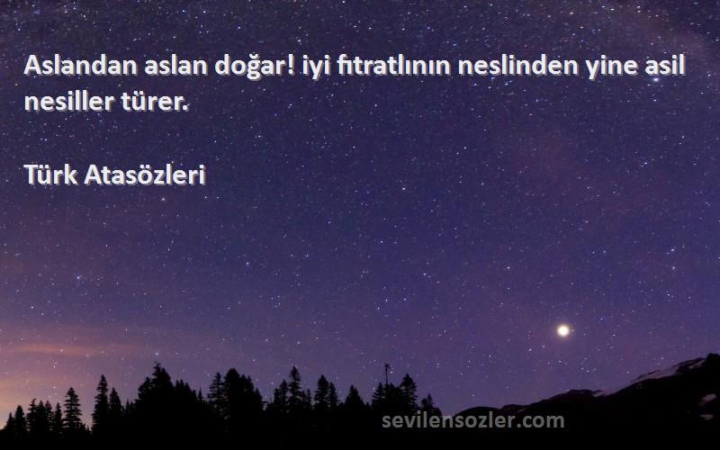 Türk Atasözleri Sözleri 
Aslandan aslan doğar! iyi fıtratlının neslinden yine asil nesiller türer.