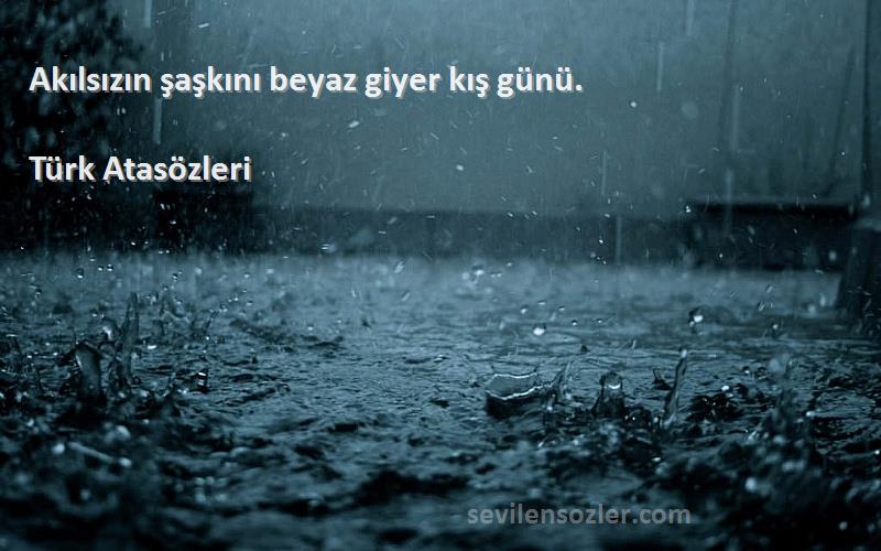 Türk Atasözleri Sözleri 
Akılsızın şaşkını beyaz giyer kış günü.