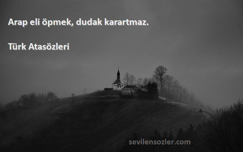 Türk Atasözleri Sözleri 
Arap eli öpmek, dudak karartmaz.